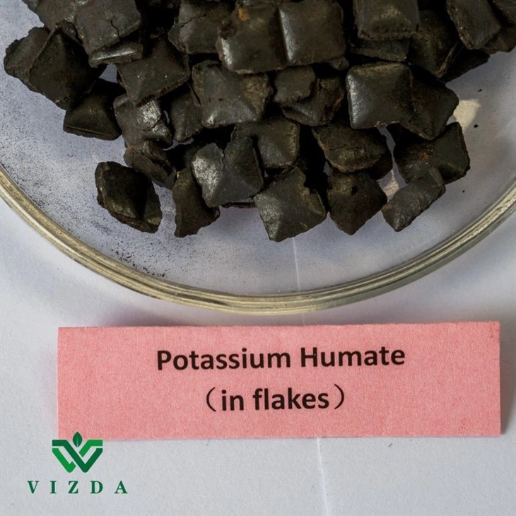 Potassium Humate Tablet Fertilizer