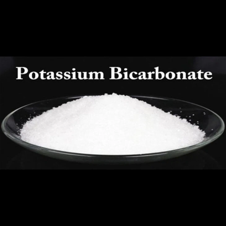Potassium Salt Production Potassium Bicarbonate