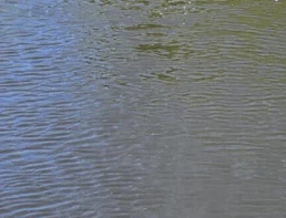 Установленные на дроне-лабораторные мониторы стока удобрений в режиме реально...