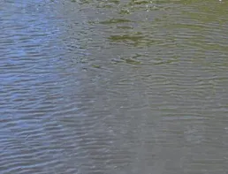 Установленные на дроне-лабораторные мониторы стока удобрений в режиме реально...